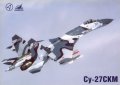 -27