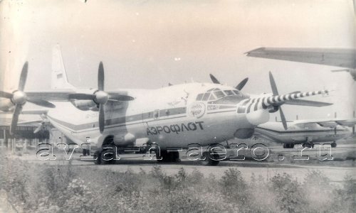 -12 RA-11530
